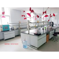實驗室家具 鋼木實驗臺 鋼木邊臺 鋼木中央臺 鋼木結構可定制