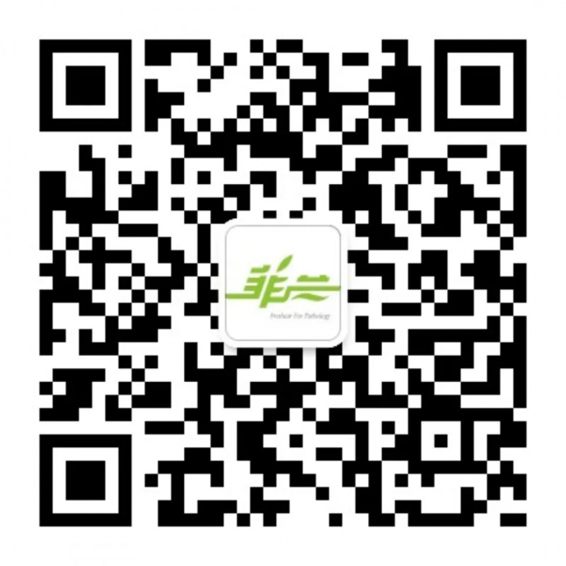 7.webp
